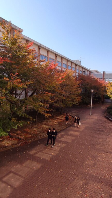 秋の堺東高校