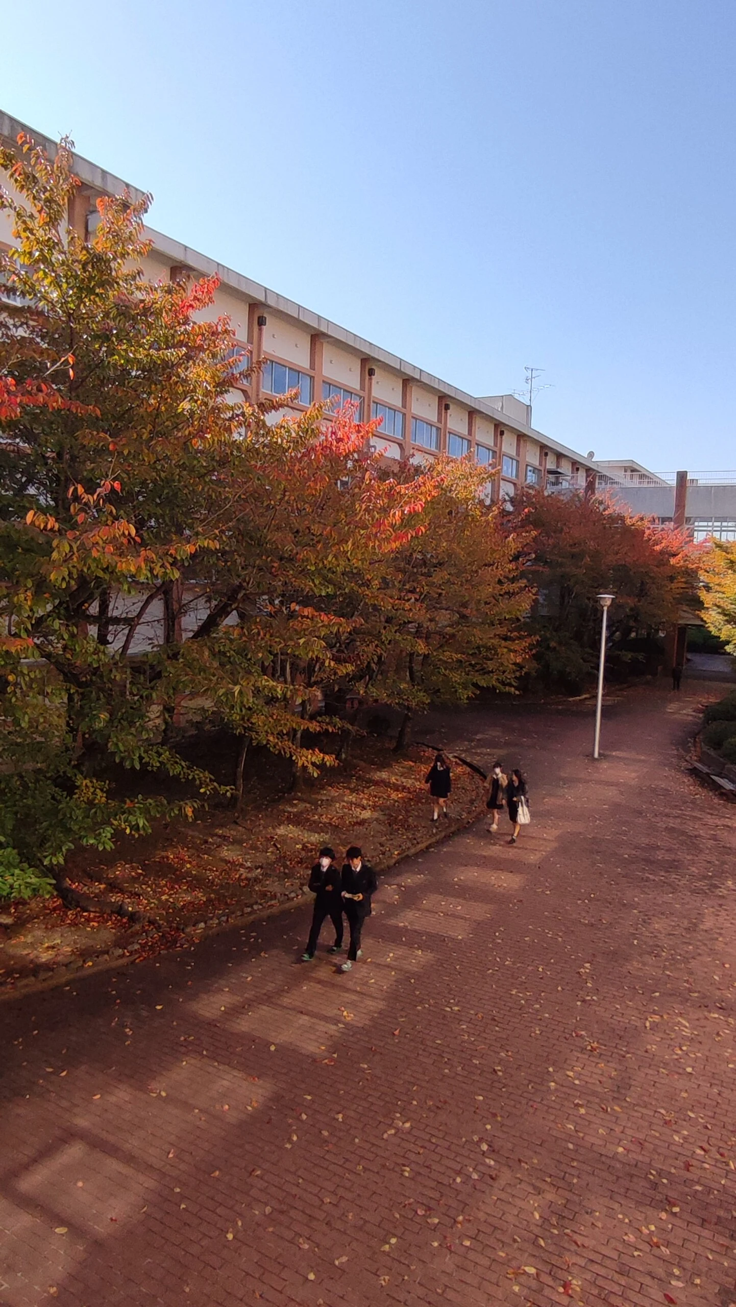 学校案内パンフレット | 大阪府立堺東高等学校