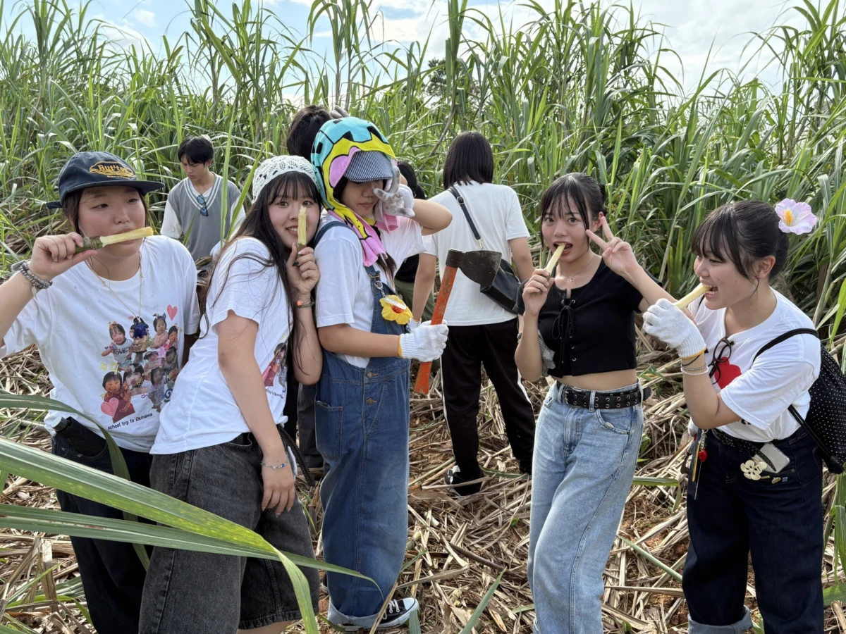 修学旅行 | 大阪府立堺東高等学校